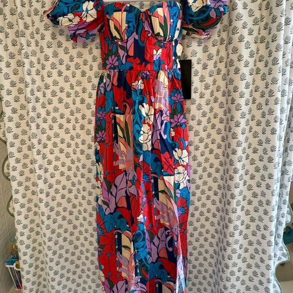 Tuckernuck climbing cosmos maxi dress - Picture 5 of 8